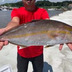 ぽん助丸 釣果