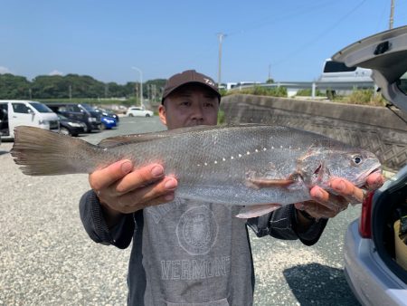 ぽん助丸 釣果