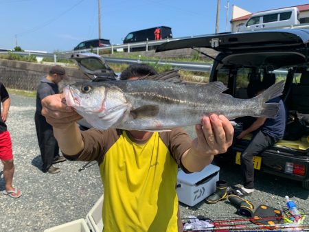 ぽん助丸 釣果