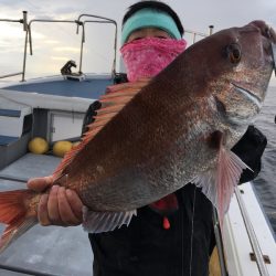 渡船屋たにぐち 釣果