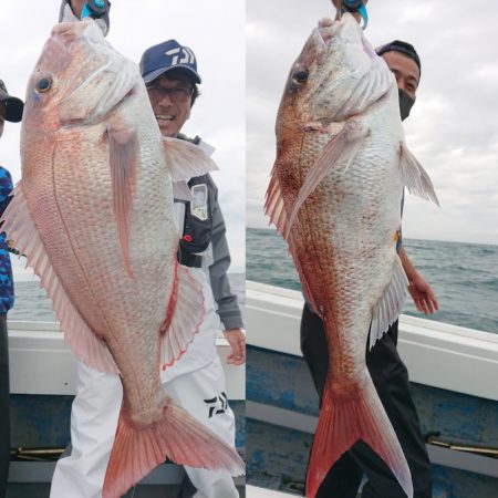 だて丸 釣果