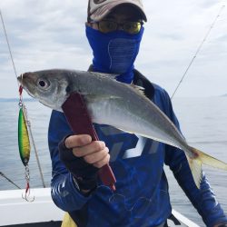 渡船屋たにぐち 釣果