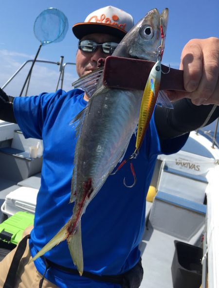 渡船屋たにぐち 釣果