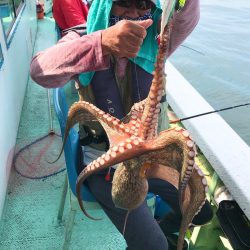 ヤザワ渡船 釣果