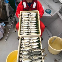 釣人家 釣果