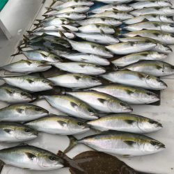 大雄丸 釣果