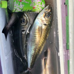 丸万釣船 釣果