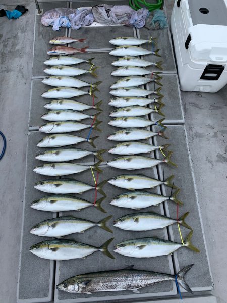 SeaRide(シーライド) 釣果