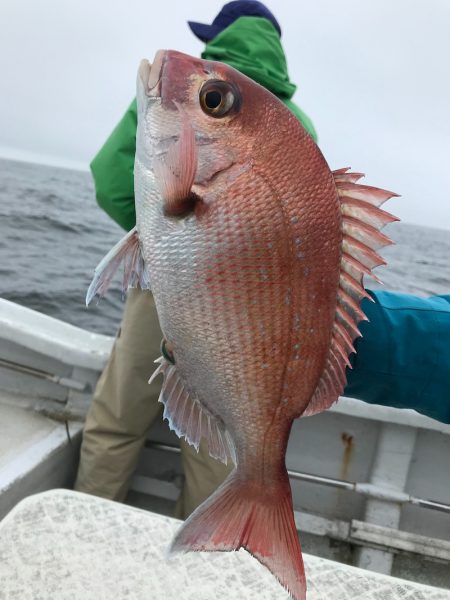 ランスルー 釣果