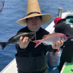 丸万釣船 釣果