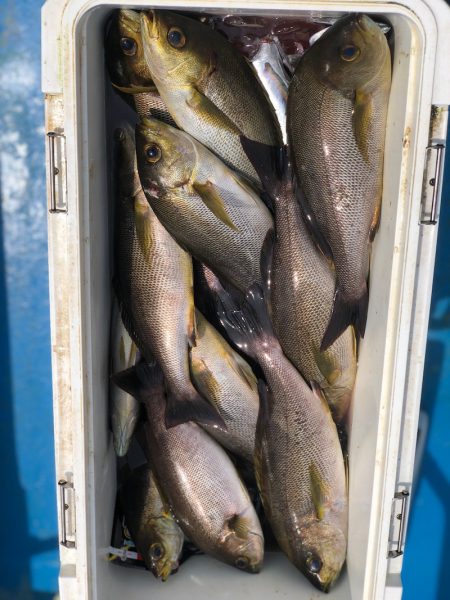 丸万釣船 釣果