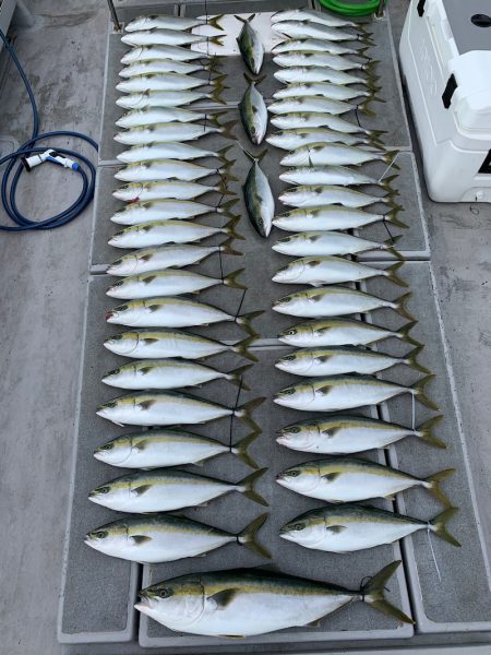 SeaRide(シーライド) 釣果