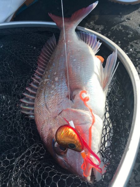 太平丸 釣果