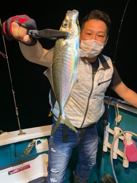 愛海丸 釣果