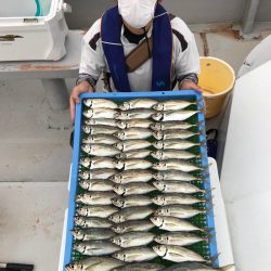 釣人家 釣果