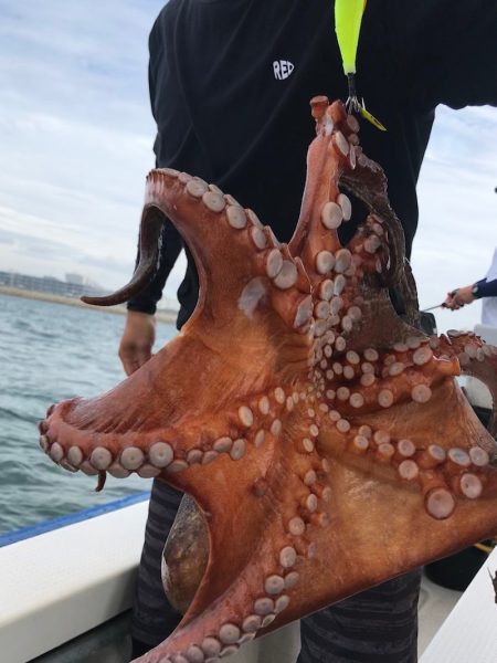 大雄丸 釣果