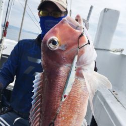 渡船屋たにぐち 釣果