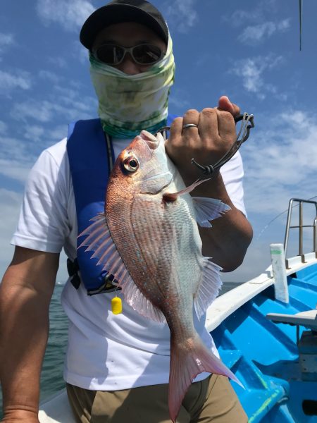 太平丸 釣果