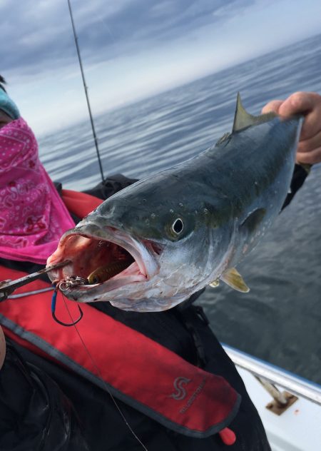 渡船屋たにぐち 釣果