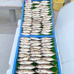 釣人家 釣果