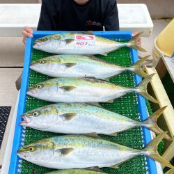 釣人家 釣果