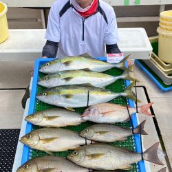 釣人家 釣果