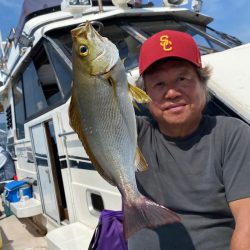 釣人家 釣果