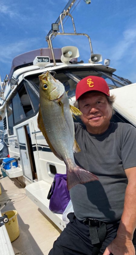 釣人家 釣果