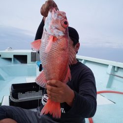 ひな丸 釣果