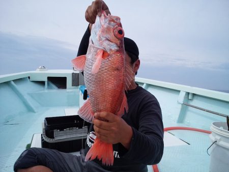 ひな丸 釣果