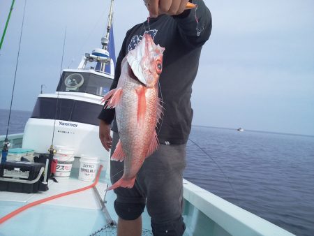 ひな丸 釣果