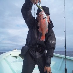 ひな丸 釣果