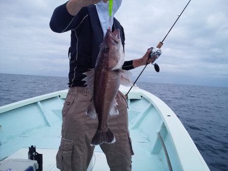 ひな丸 釣果