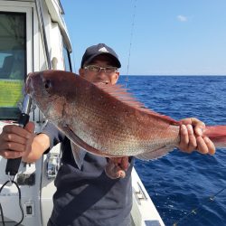 海峰 釣果