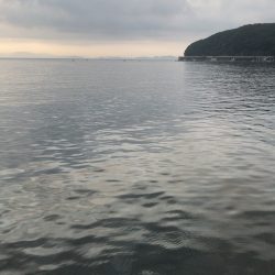 初淡路島で青物！