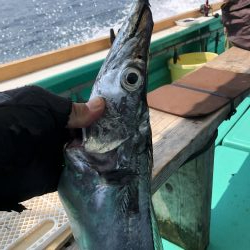 泉州丸さんでタチウオ