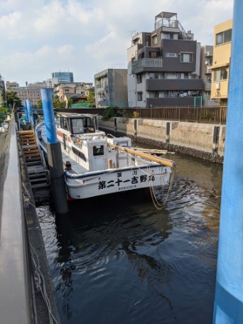 深川吉野屋で夜カサゴ釣り