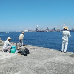 キスが釣れない播磨新島