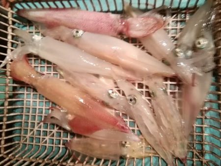 松福丸 釣果