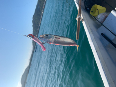 富浦　手漕ぎボート