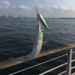 鯖は再び釣れるように。。。