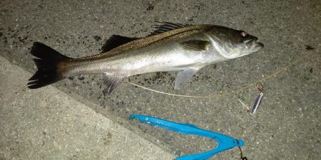 夜中のショアジギング