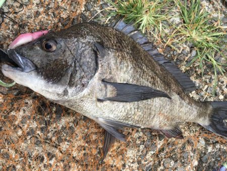 釣りキャンプ～長崎南部方面～