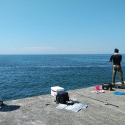 キスが釣れない播磨新島