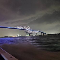 深川吉野屋で夜カサゴ釣り