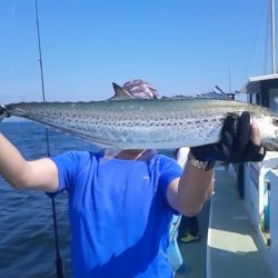 さわ浦丸 釣果