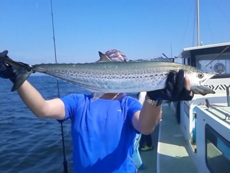 さわ浦丸 釣果