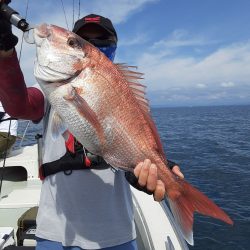 海峰 釣果