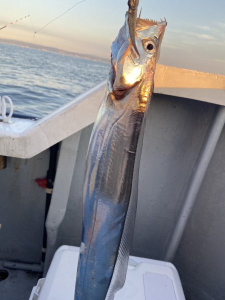 夢丸 釣果