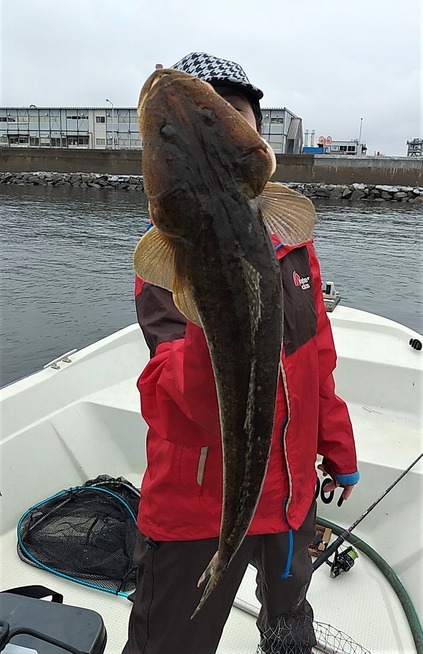 めだか屋 釣果